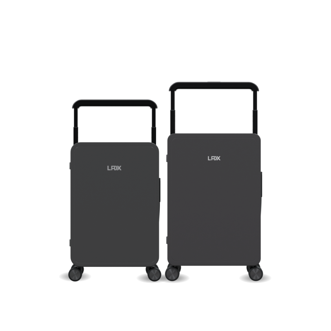Set of 2 - LAX Bric Bundle (Carry On 20''+ Checked In 24")